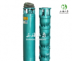 QJ型（xíng）井用潛水電泵(深井泵)